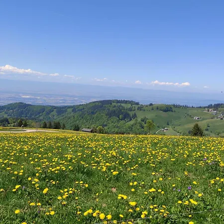 Apartament Reesbauernhof Oberried (Breisgau)