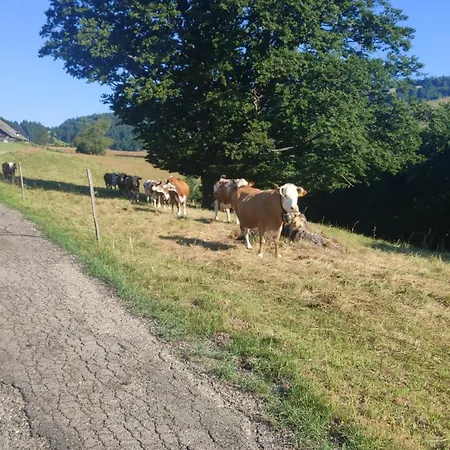 Apartament Reesbauernhof