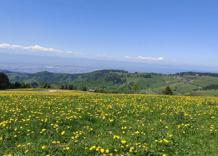 Appartement Reesbauernhof Oberried (Breisgau)