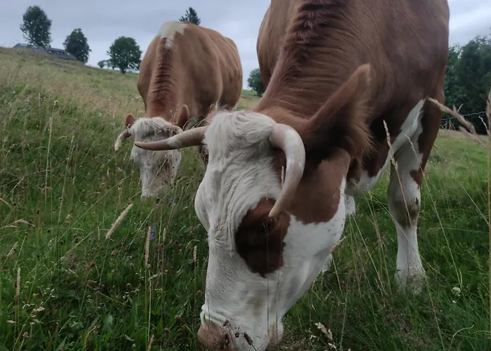 Reesbauernhof * Oberried (Breisgau)