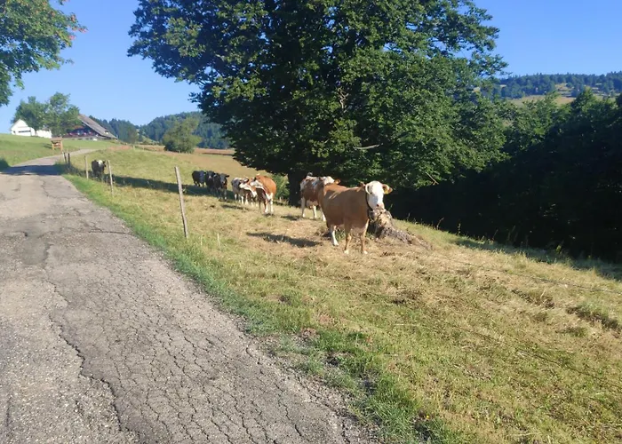 Appartement Reesbauernhof