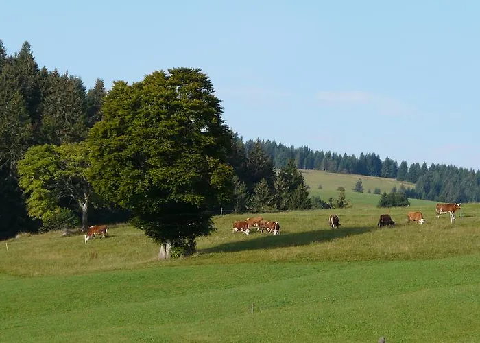 Reesbauernhof Oberried (Breisgau)